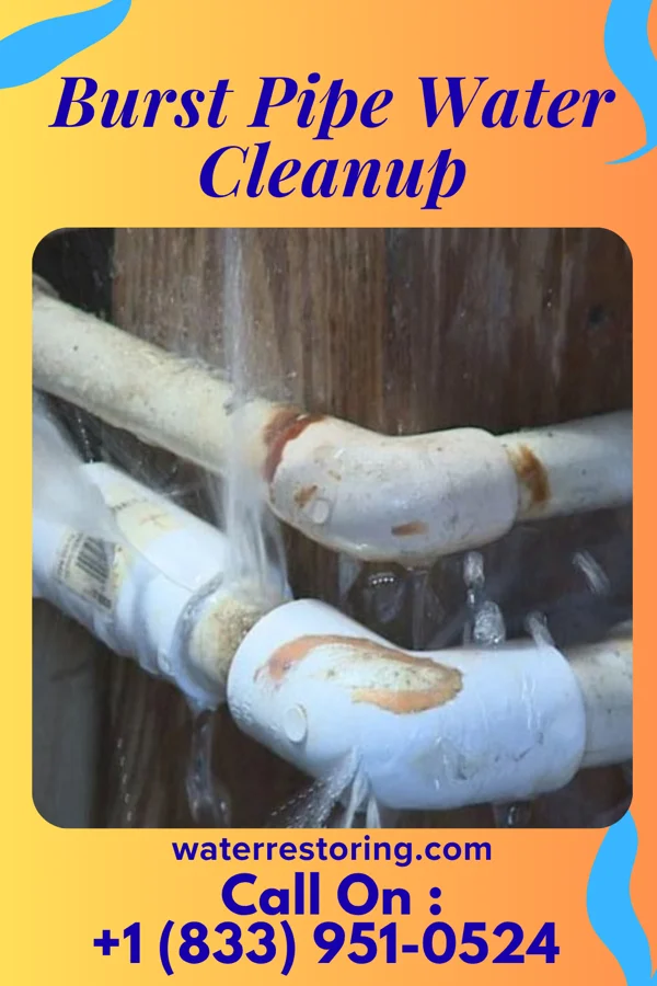 Burst Pipe Water Cleanup in Mount Victory, OH