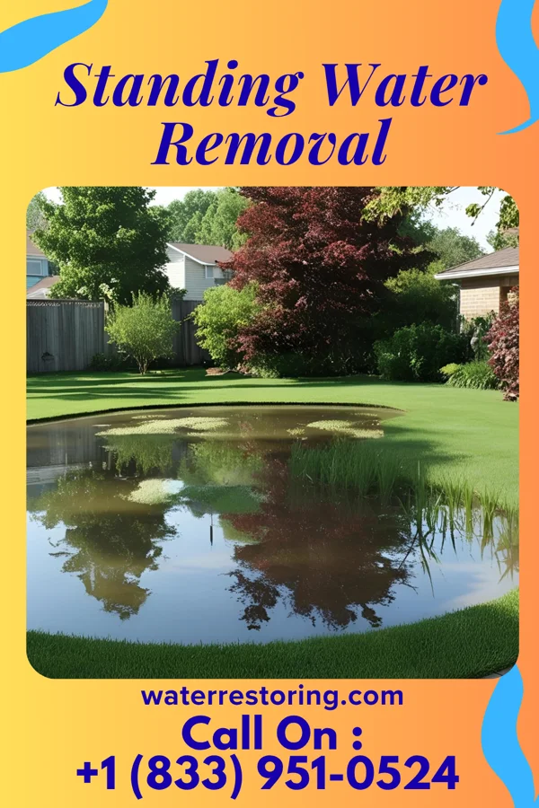 Standing Water Removal in Mount Victory, OH